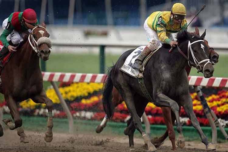 Panty Raid-silly racehorse name