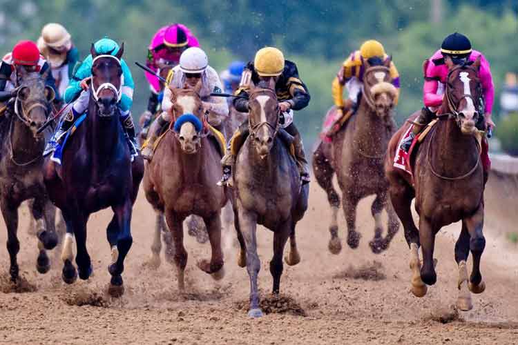 Horse racing event